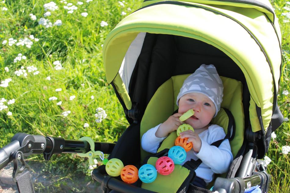 little boy in a stroller on a meadow