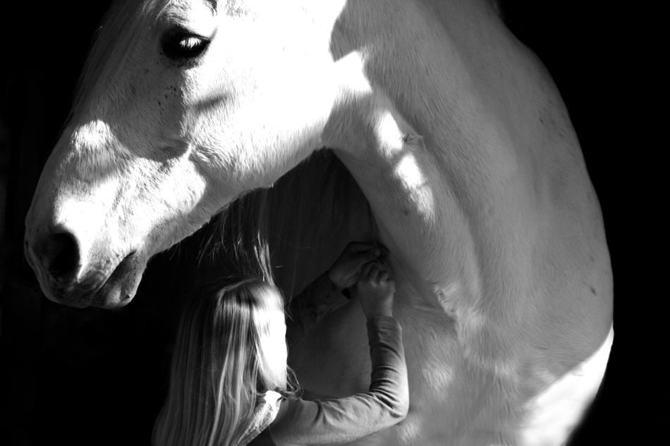 girl at side of white Horse in darkness