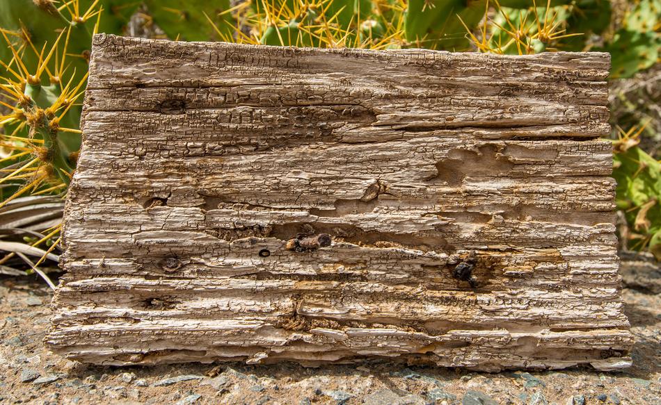 Background Wood Structure