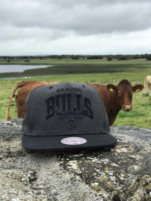 Cap Bulls Ireland