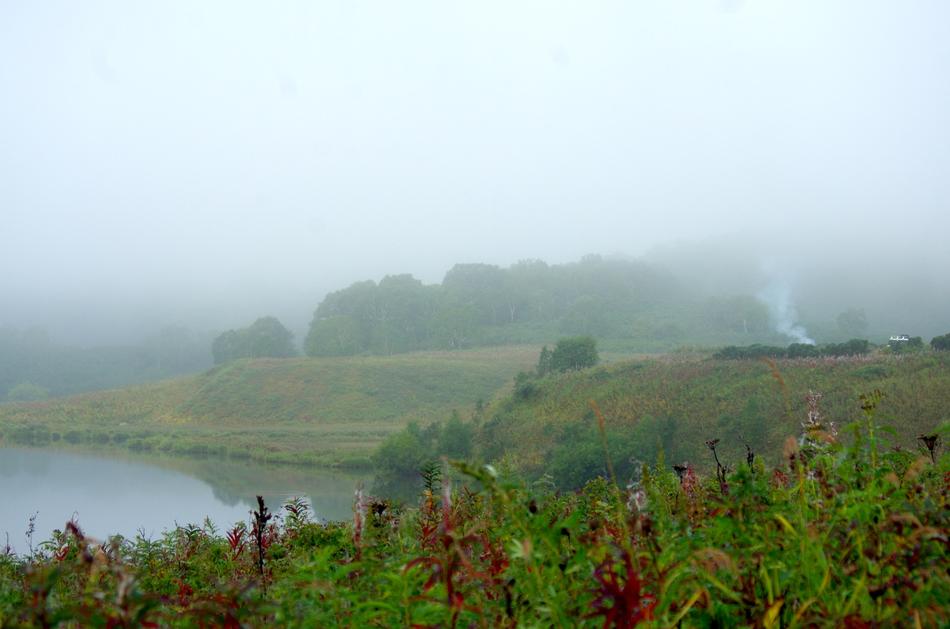 Morning Foggy Lake