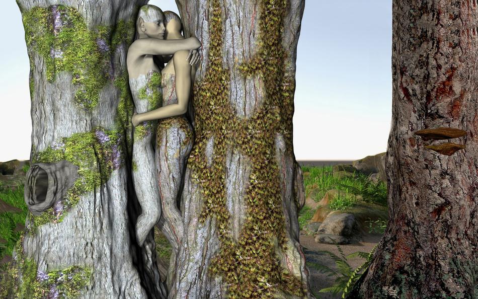 Fantasy Fairytale Forest photomontage