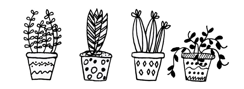 illustration of cacti flowers pots