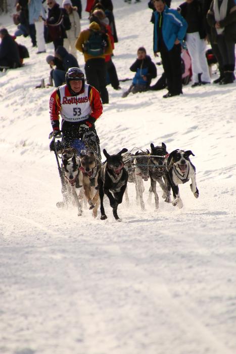 Snow Sport Human