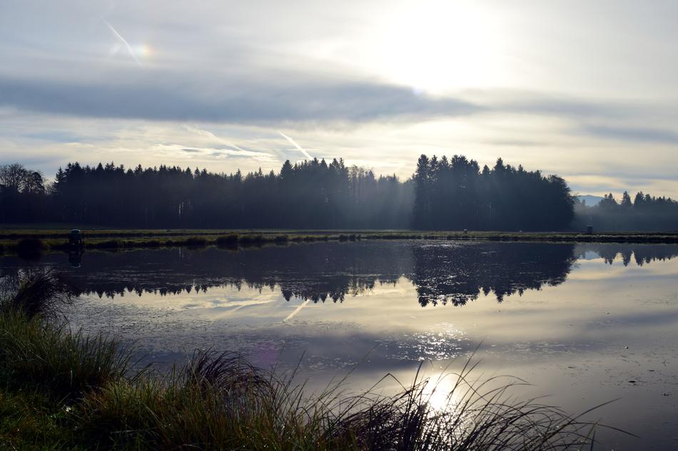 Lake Pond Water