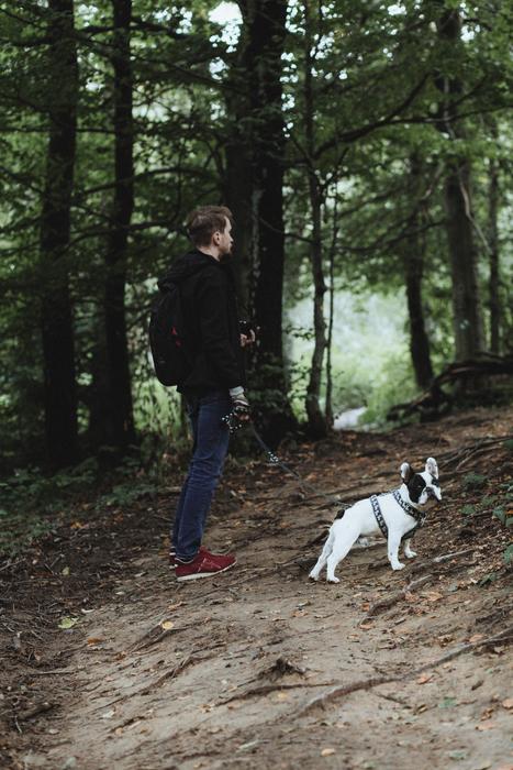 Animals Nature People