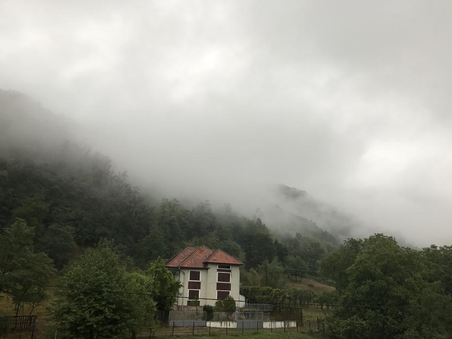 cloudy weather with trees and a house