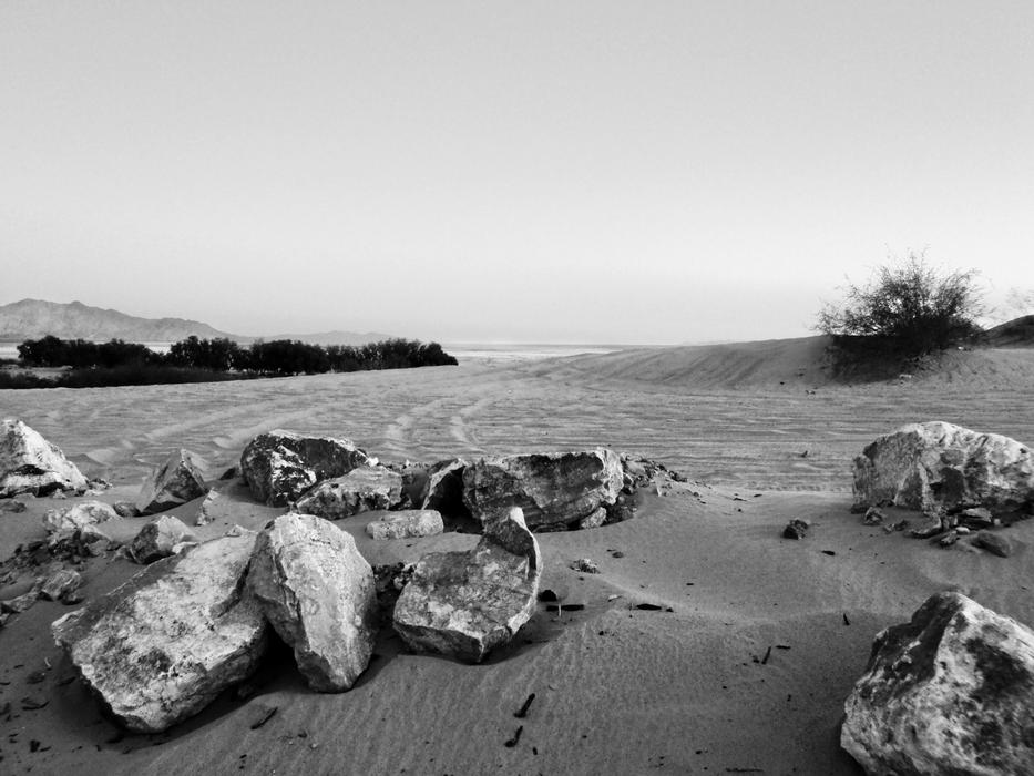 rocky gray area