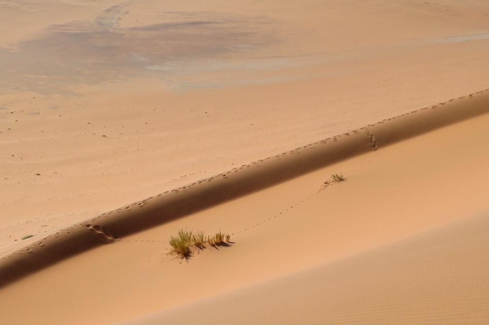 Sand Dune Background