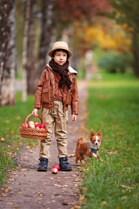 Boy with red Doggy on path in park