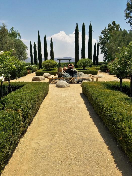 beautiful sunny garden