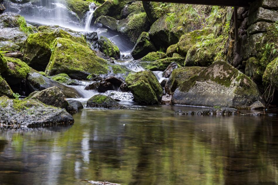 Waters Nature River