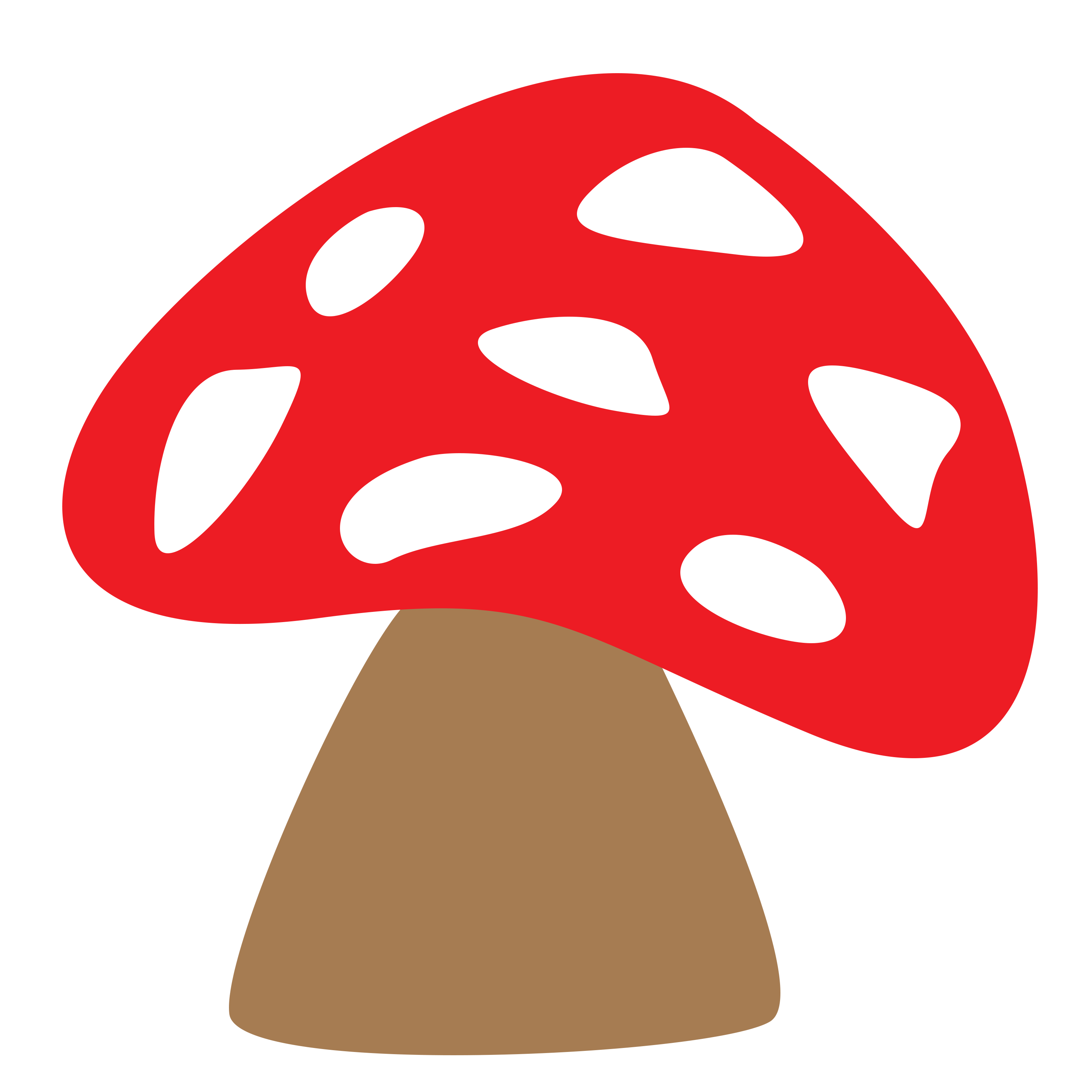 Fungus mushrooms tree fungus forest free image download