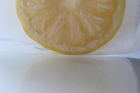 Lemon slice on a white background