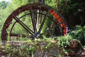 Wood Wheel Nature