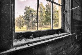 Window Black Color