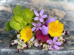 Corsage Wild Flowers Small