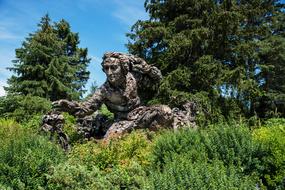 Chicago Botanic Garden Flower