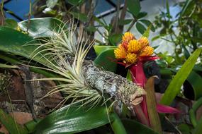Botanic Garden Puerto Vallarta