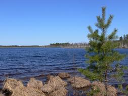 Lake Nizhny Novgorod Oblast Forest