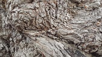 Rough Nature Pattern