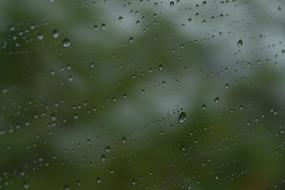 raindrops on glass, blur