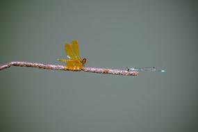 Nature No Person Body Of Water