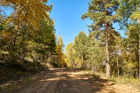 Mountains Trees Autumn