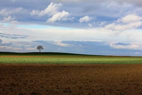 Spring Clouds Agriculture