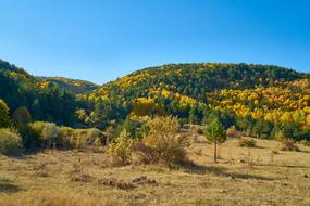 Mountains Trees Autumn