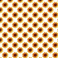 sunflower digital paper