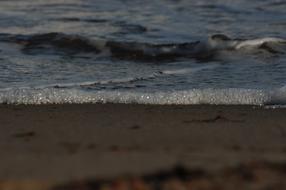 Shore Beach Se