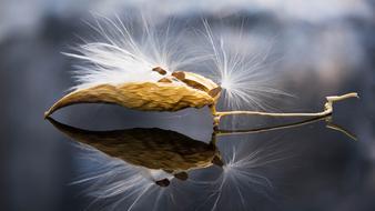 Nature Outdoors Beautiful