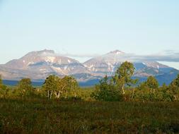 Volcano Forest Autumn