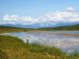 Lake Mountains Forest