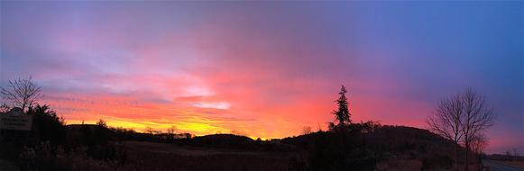 Sunrise Mountain Tree Pine