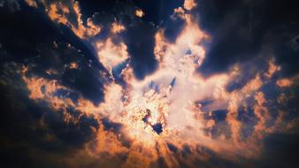 Nature Dark Outdoors