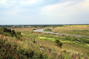 a field of flowers and a river