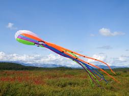 Kite Octopus Sky