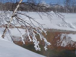Creek Winter Frost