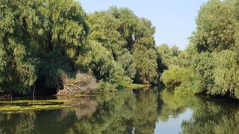 Delta Romania Danube