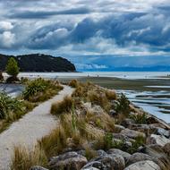 New Zealand The Coast Cove
