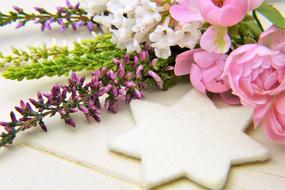 Erika Winter Heath Rose