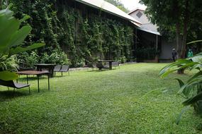 Manicured Greens Lawn