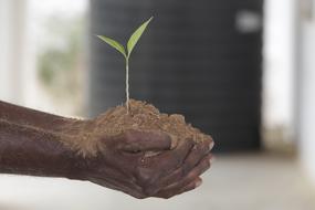 Desktop Nature Natural