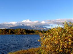 Forest Lake Body Of Water