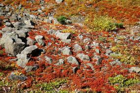 Autumn Mountain Plateau Stones