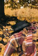 Hat Scarf Autumn