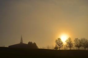 sunshine with trees by the farm