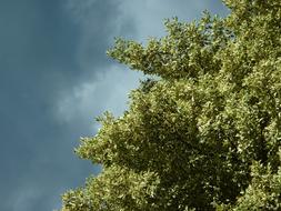 Landscape Sky Nature